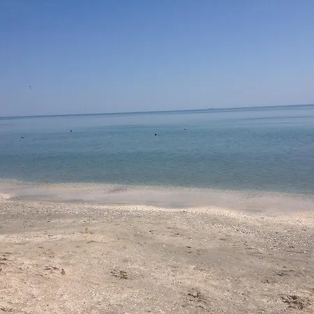 Studio Sofia Mamaia
